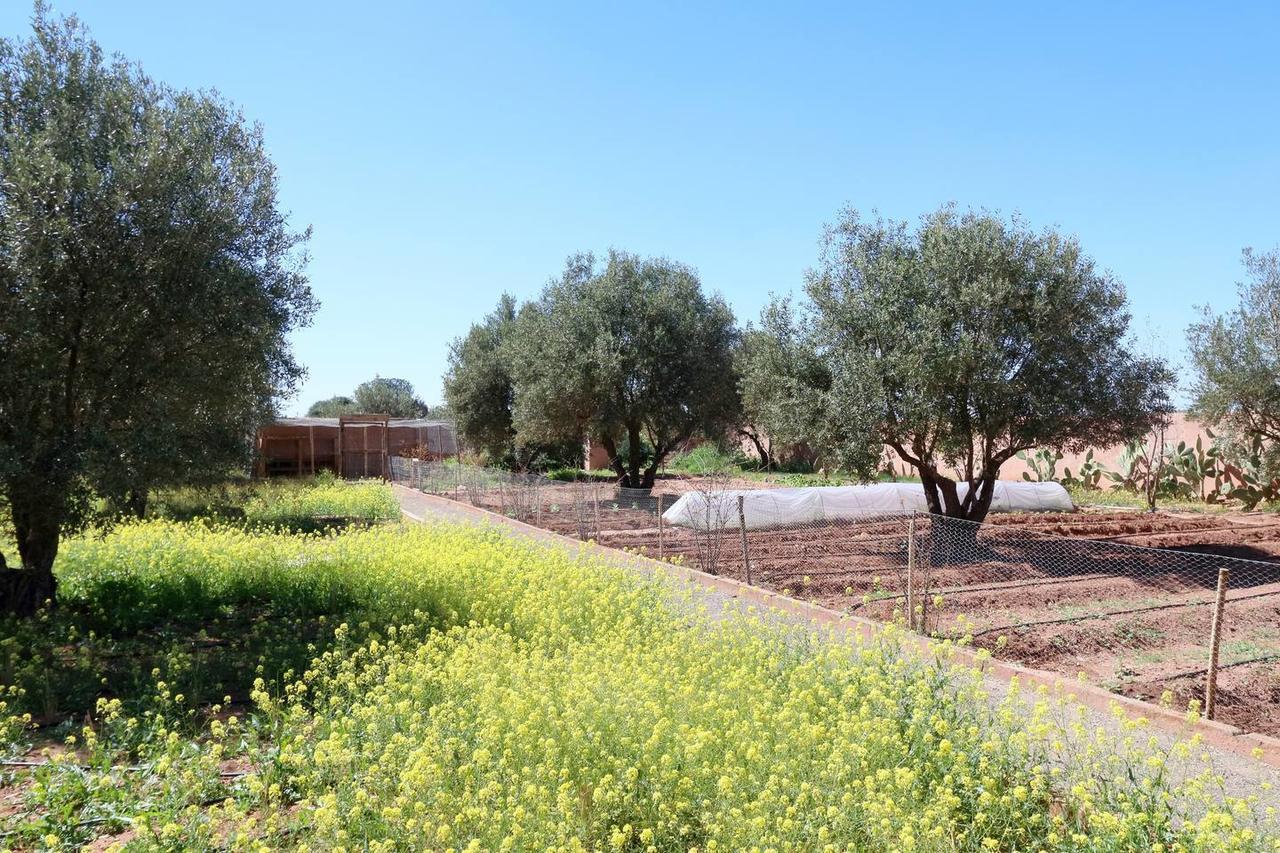 Villa Kristy Marrakesz Zewnętrze zdjęcie