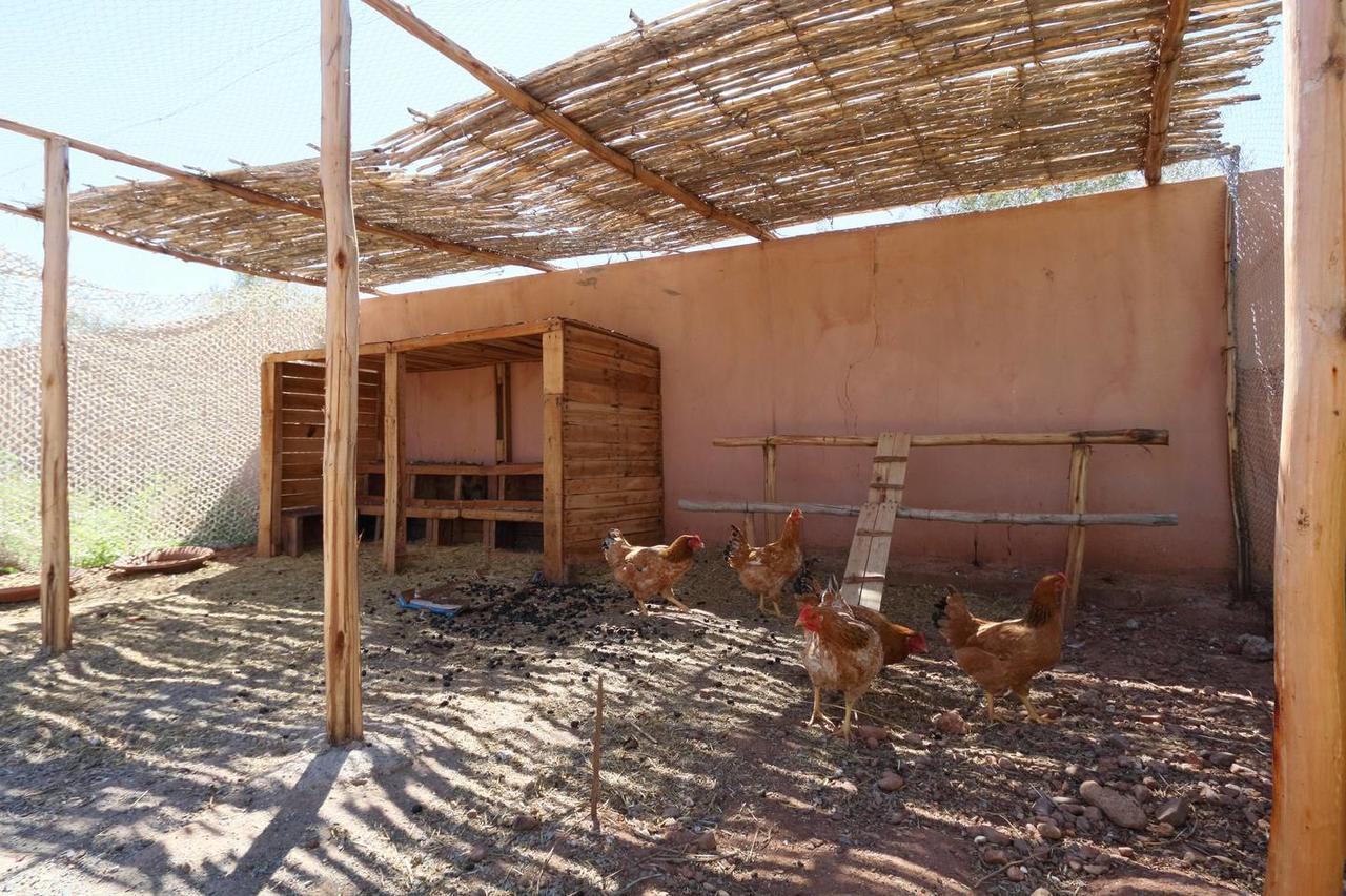 Villa Kristy Marrakesz Zewnętrze zdjęcie